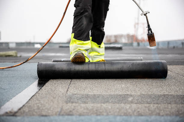 Best Roof Insulation Installation  in Ellis, KS