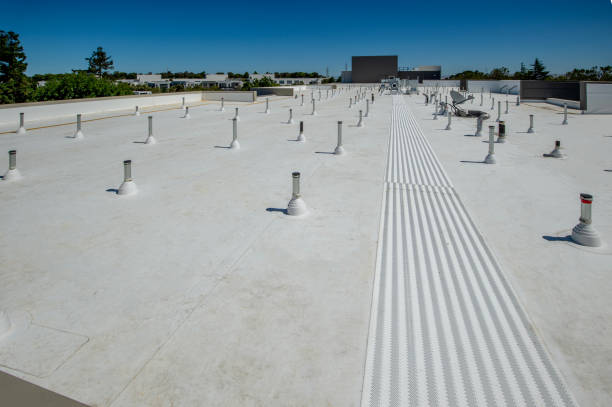 Best Roof Leak Repair  in Ellis, KS